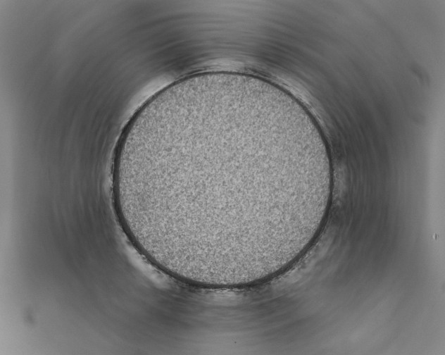 X0000111221042200907301221