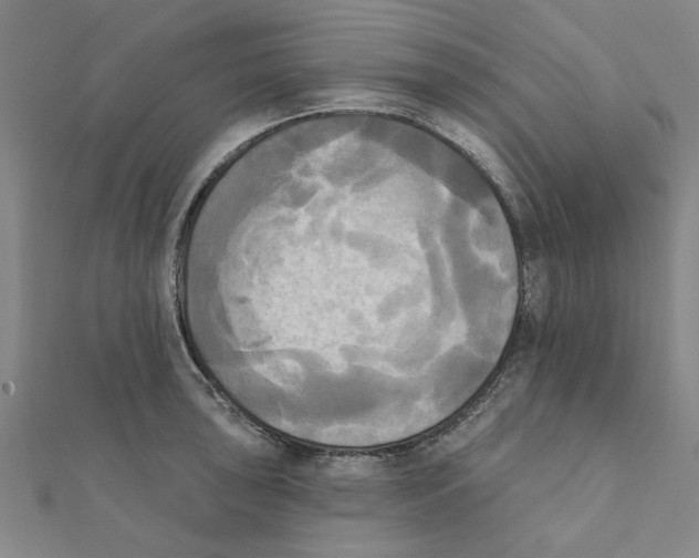 X0000111221043200907301221