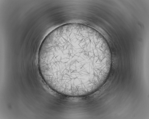 X0000111221044200907301221