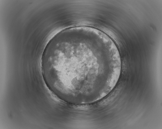 X0000111221047200907301221