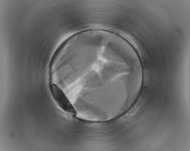 X0000111221048200907301221