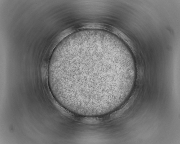 X0000111221049200907301221