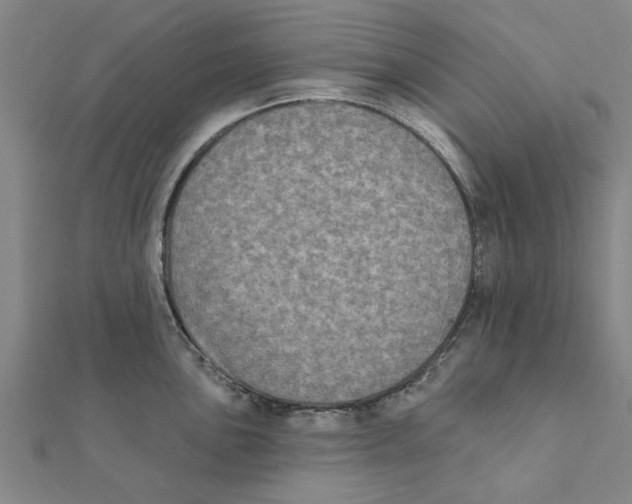 X0000111221051200907301221