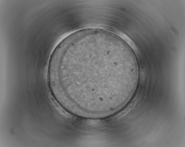 X0000111221052200907301221