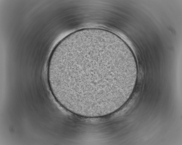 X0000111221053200907301221
