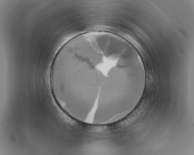 X0000111221055200907301221