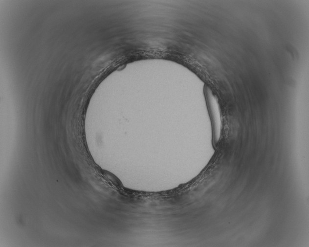 X0000111221057200907301220
