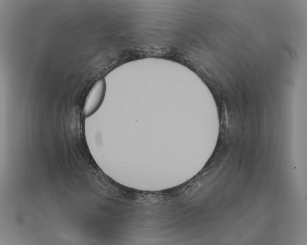 X0000111221058200907301220