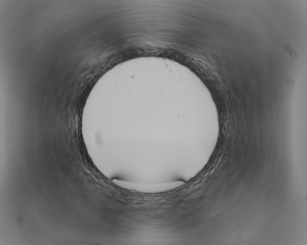 X0000111221061200907301220