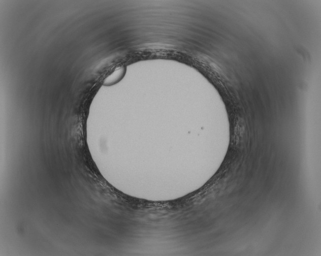 X0000111221062200907301220