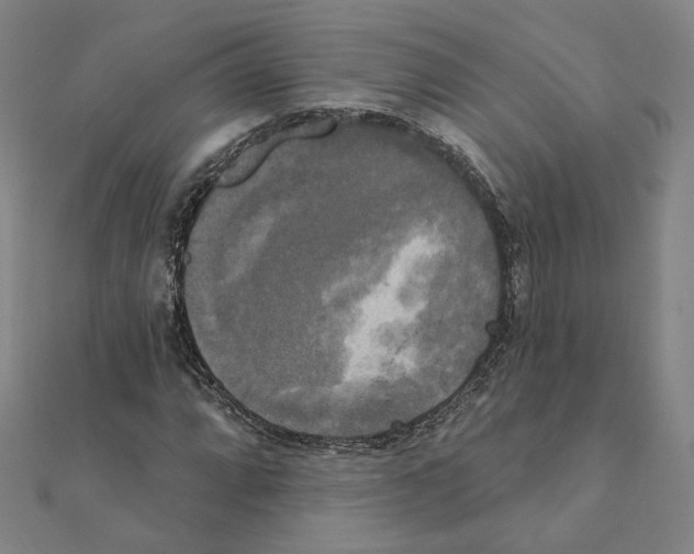 X0000111221064200907301220