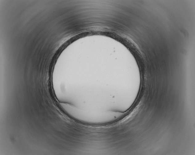 X0000111221065200907301220