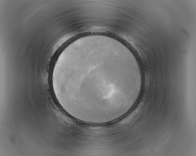 X0000111221066200907301220