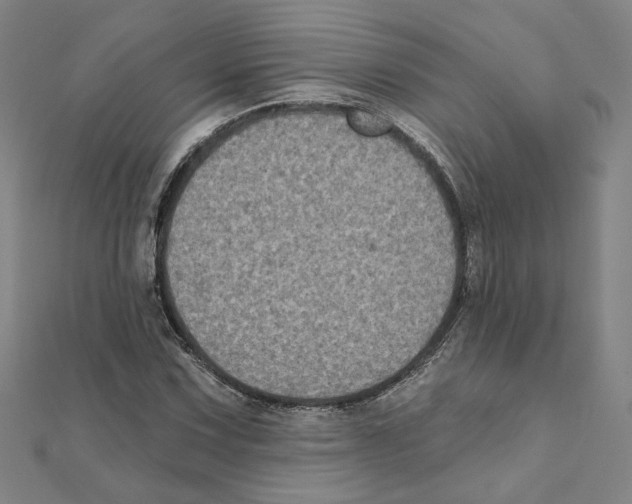 X0000111221067200907301220