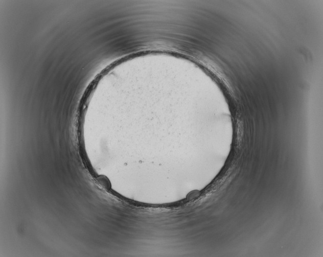 X0000111221068200907301220