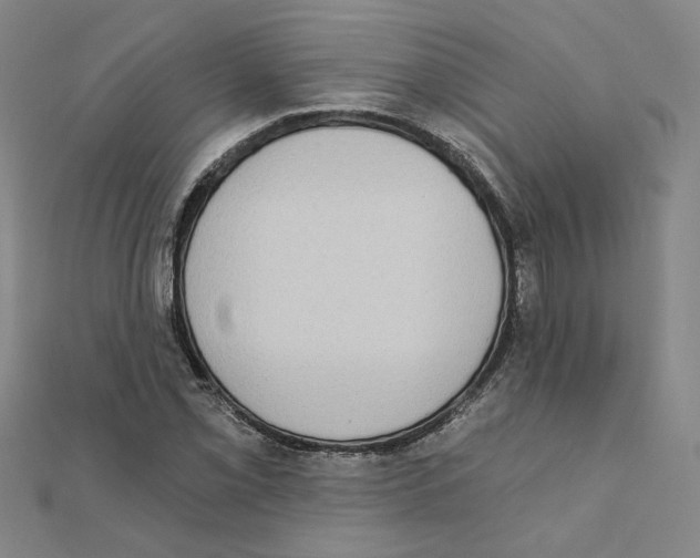 X0000111221069200907301220