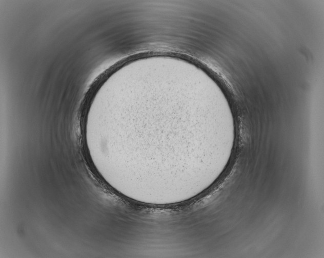 X0000111221070200907301220