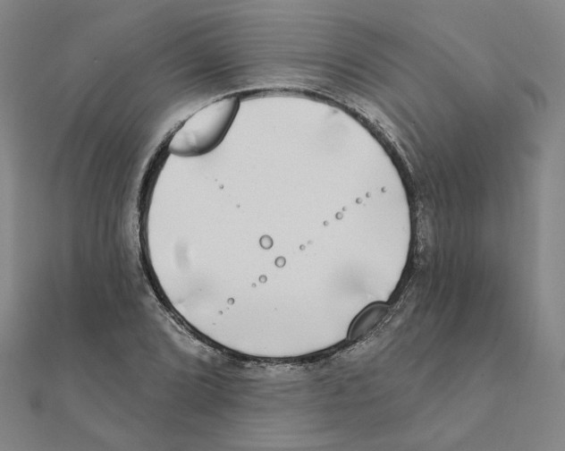 X0000111221072200907301220