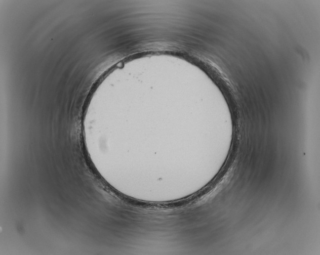 X0000111221073200907301220