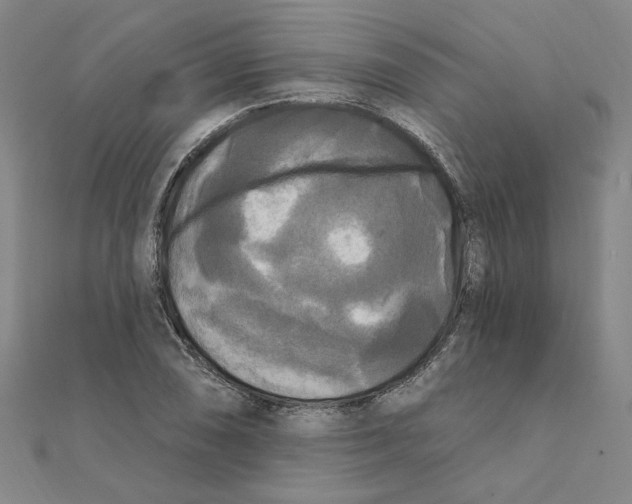 X0000111221074200907301220