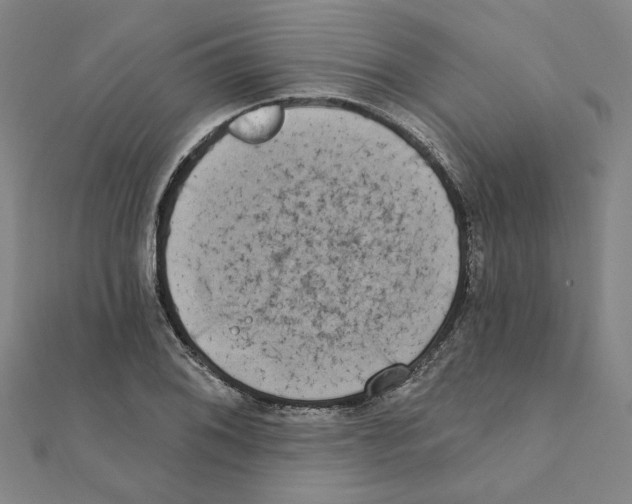 X0000111221076200907301220