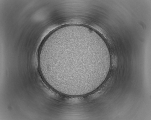 X0000111221078200907301220