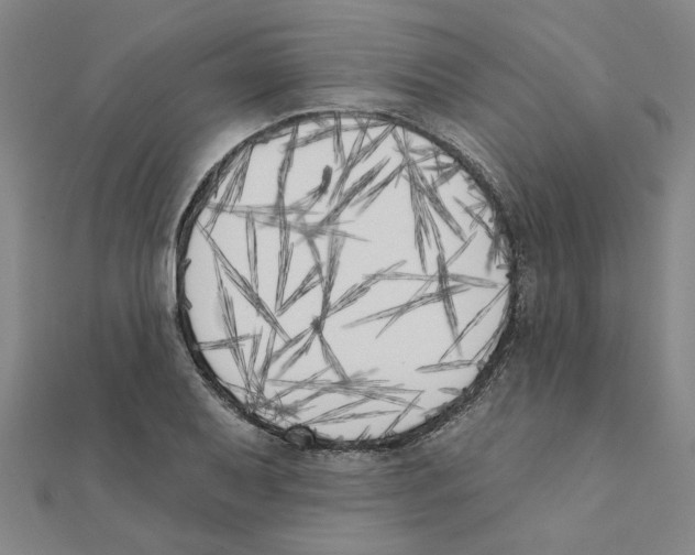 X0000111221079200907301220