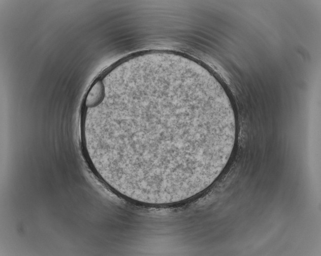 X0000111221080200907301220