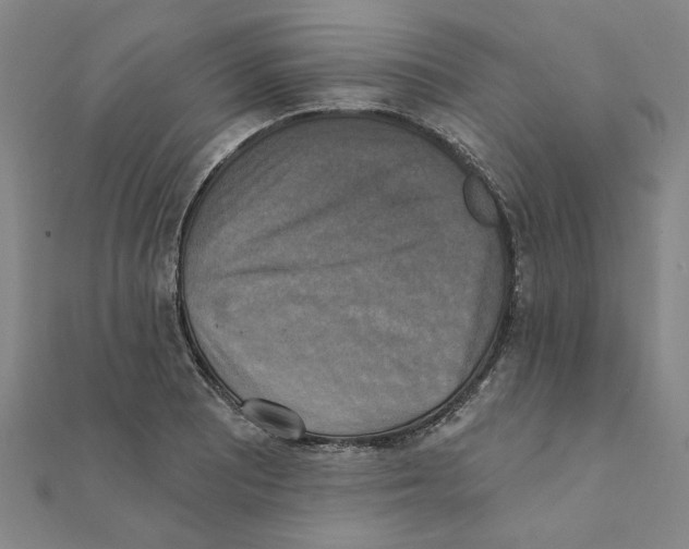 X0000111221081200907301220