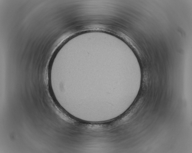 X0000111221082200907301220