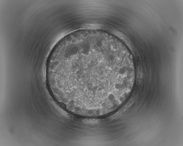 X0000111221083200907301220