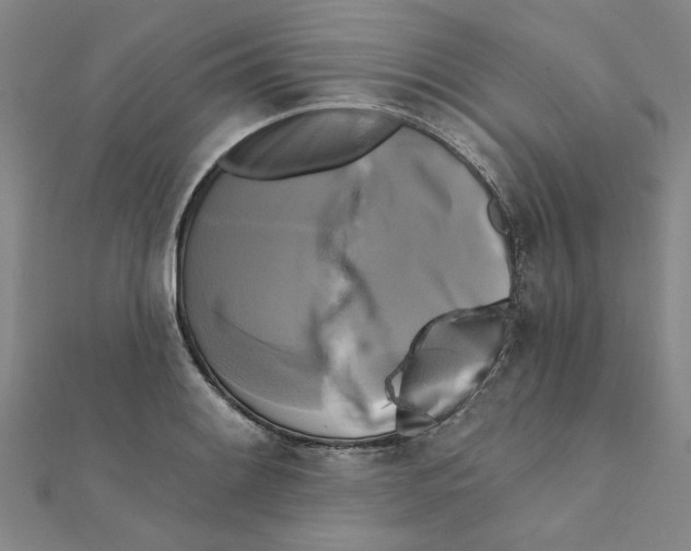 X0000111221084200907301220