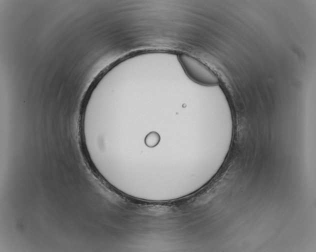 X0000111221085200907301220