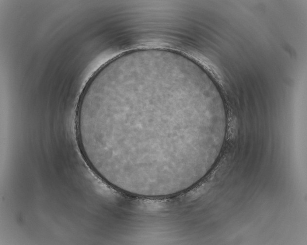 X0000111221086200907301220