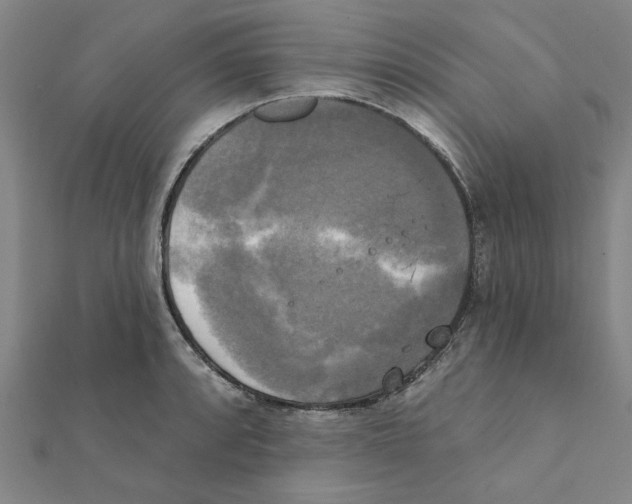 X0000111221088200907301220