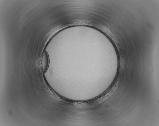 X0000111221089200907301220