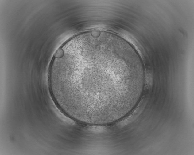 X0000111221090200907301220