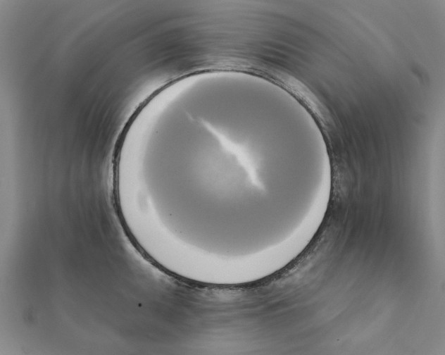 X0000111221095200907301220