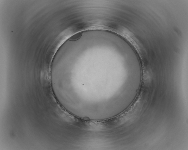 X0000111221097200907301220