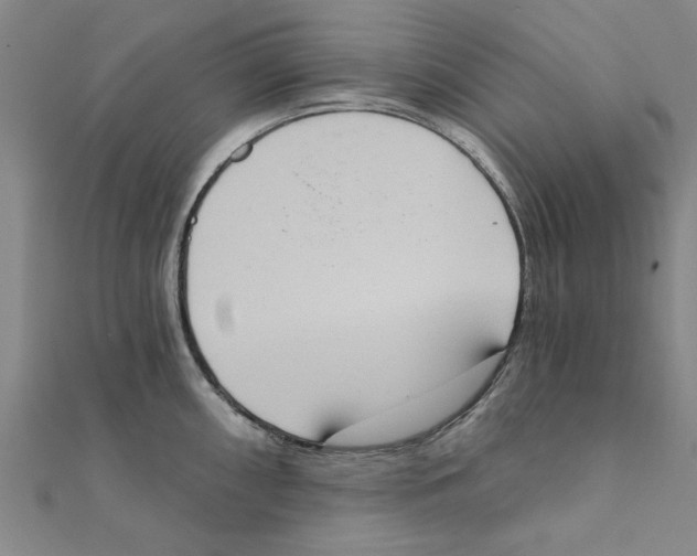 X0000111221098200907301220