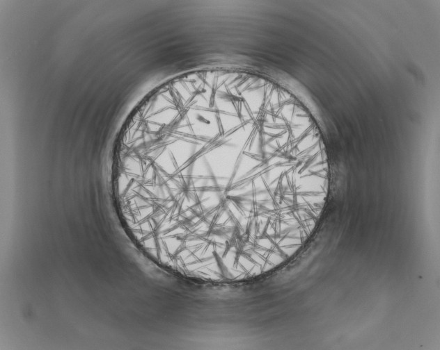 X0000111221099200907301220