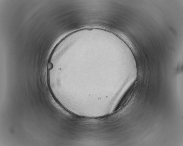 X0000111221100200907301220