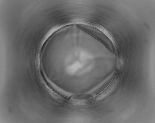 X0000111221101200907301220