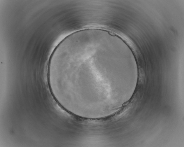 X0000111221102200907301220
