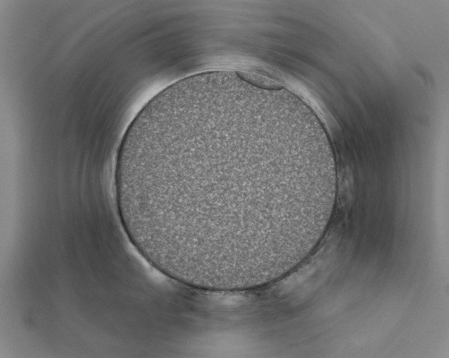 X0000111221103200907301220