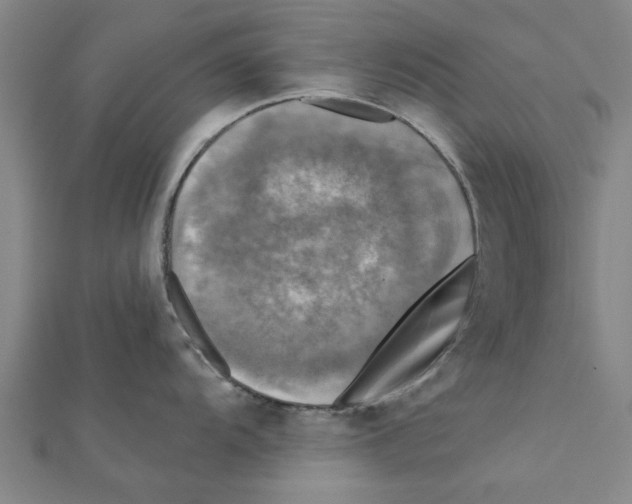 X0000111221104200907301220