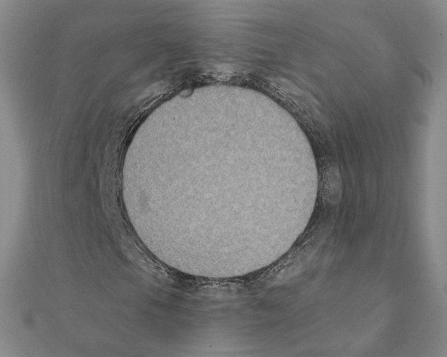 X0000111221105200907301219