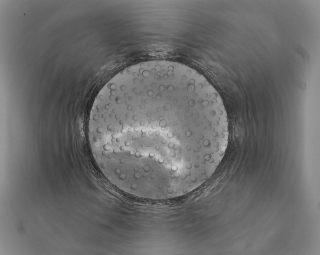 X0000111221106200907301219