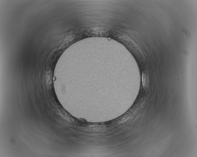 X0000111221107200907301219