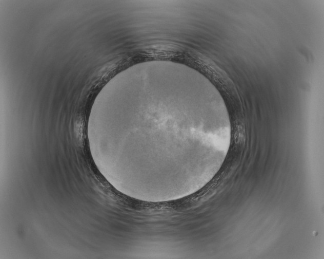 X0000111221108200907301219